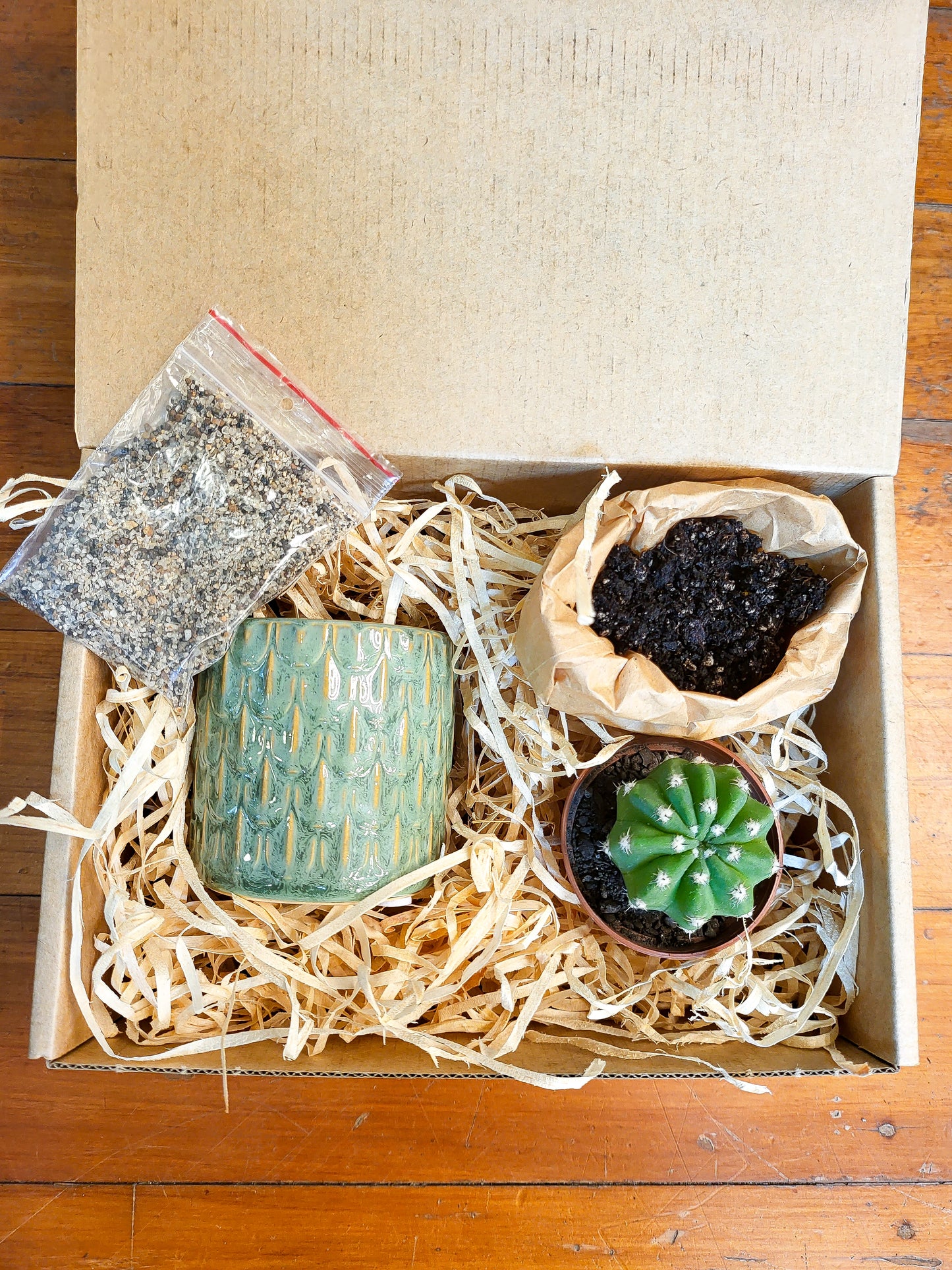 DIY - Plant your own Cacti in Cermaic (Sage)
