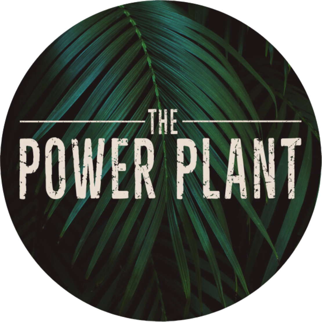 The Power Plant