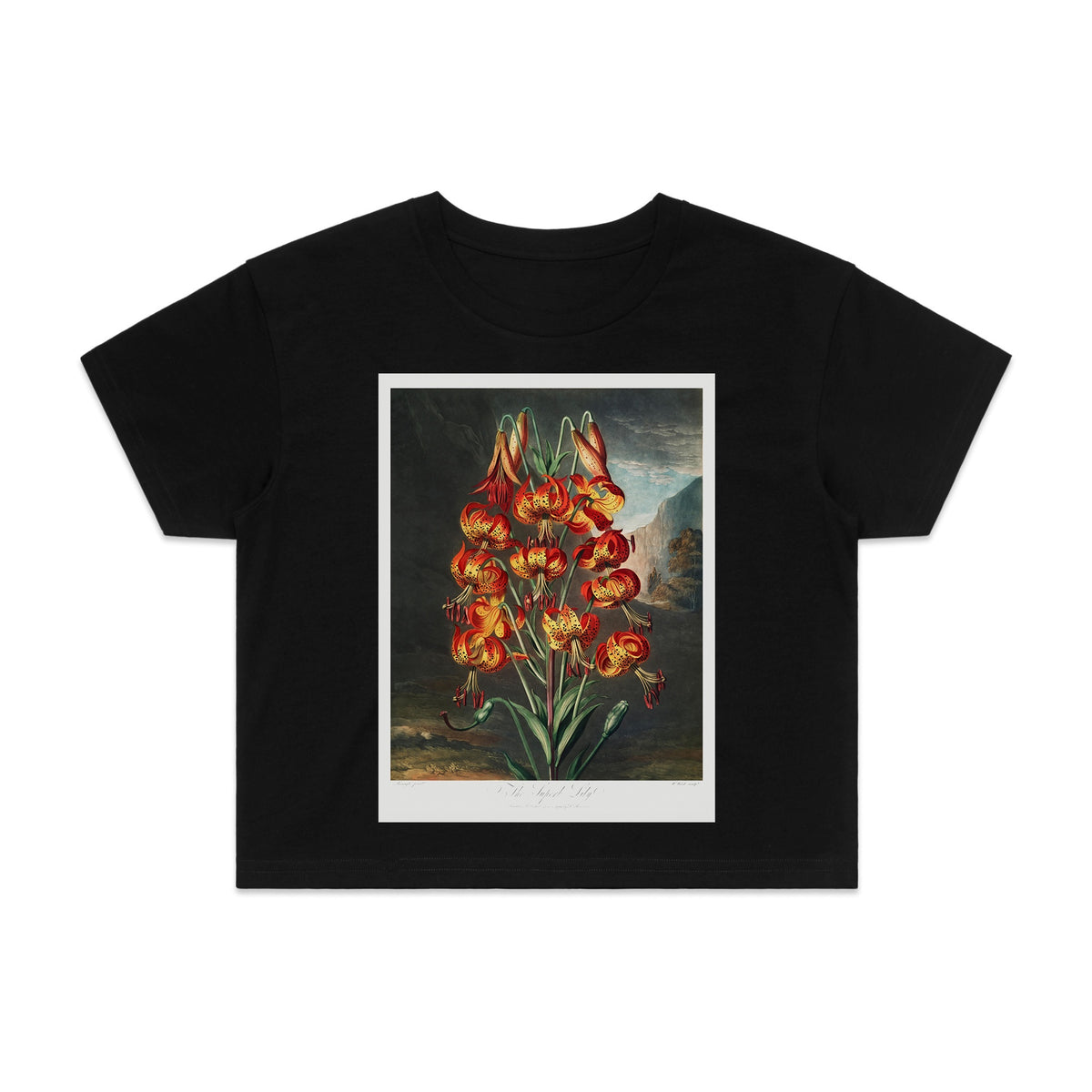 ARCHIVIST - Tiger Lily Womens Crop