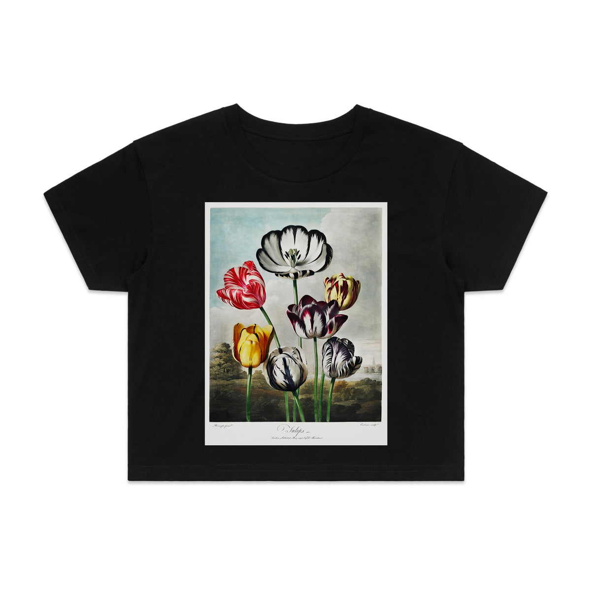 ARCHIVIST - Tulips Womens Crop