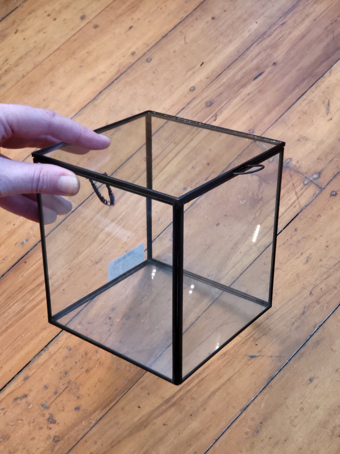 Glass Terrarium w/Hinged Lid SQUARE