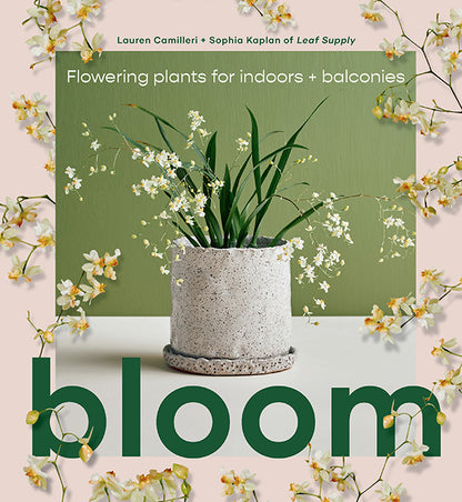 LEAF SUPPLY - Bloom