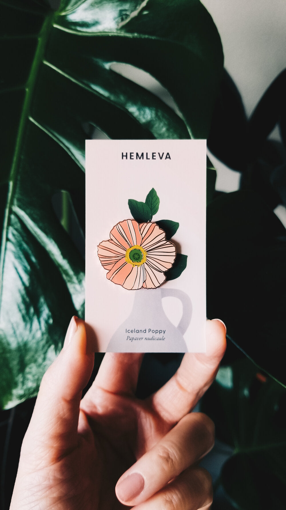 HEMLEVA Pin - Iceland Poppy