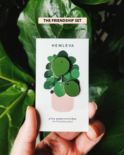 HEMLEVA Pin - Pilea The Friendship Plant