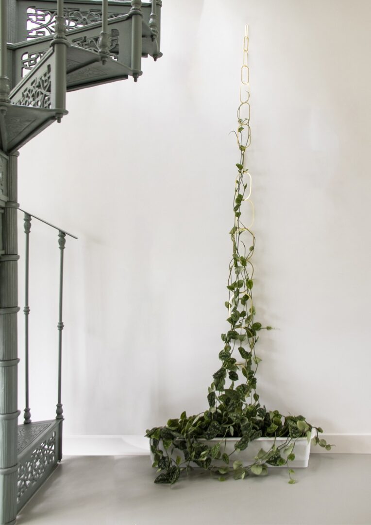 BOTANOPIA - Gold Brass Chain Plant Support